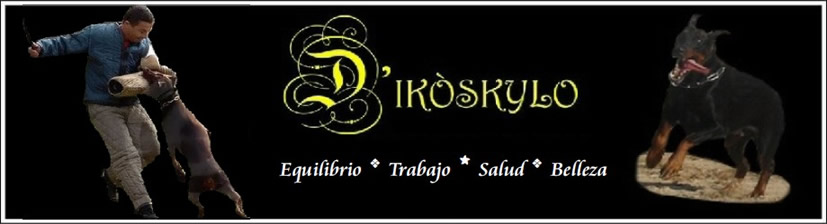dikoskylo