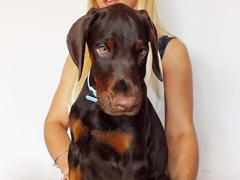 Nicole Nabrysko D'ikòskylo