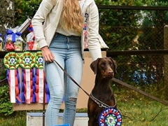 Nicole Nabrysko D'ikòskylo